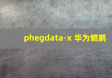 phegdata-x 华为鲲鹏